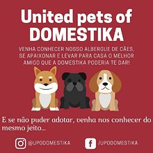 Meu projeto do curso: Criatividade publicitária para todos os públicos. Un progetto di Pubblicità, Consulenza creativa, Marketing, Creatività, Cop, writing e Content Writing di Pablo R. Dobke - 27.08.2022