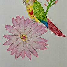 My project for course: Surrealist Illustration Inspired by Nature. Projekt z dziedziny Trad, c, jna ilustracja, R, sunek ołówkiem,  R, sunek,  R, sunek art, st, czn, Ilustracja naturalist, czna, R i sowanie kredkami użytkownika Shalimar Rivera - 26.08.2022