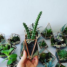 Mi proyecto del curso: Creación de terrarios con la técnica Tiffany. Accessor, Design, Interior Design, Decoration, DIY, Floral, and Plant Design project by Adela Arsuaga - 08.29.2022