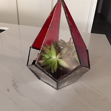 Mi proyecto del curso: Creación de terrarios con la técnica Tiffany. Projekt z dziedziny Projektowanie dodatków, Projektowanie wnętrz,  Dekoracja wnętrz, DIY, Kompoz i cje kwiatowe i botaniczne użytkownika carmencortijo92 - 29.08.2022