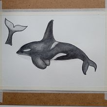 Mi proyecto del curso: Técnicas de ilustración naturalista: ballenas en acuarela. Traditional illustration, Poster Design, Digital Illustration, and Manga project by mipropianube - 08.29.2022