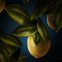 My project for course: Digital Illustration Techniques to Boost Your Style. Drawing, Digital Illustration, and Digital Drawing project by Evonn Balcziunas - 08.27.2022