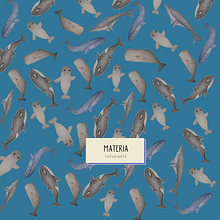 Proyecto en Técnicas de ilustración de ballenas en acuarela (Stickers, portadas e infografia))). Ilustração tradicional, Design de cartaz, Ilustração digital, Pintura em aquarela, Educação, Design digital e Ilustração naturalista projeto de Nicole Fleming - 29.08.2022