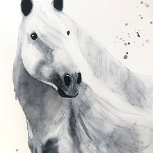 Horse in monocrome Ein Projekt aus dem Bereich Traditionelle Illustration von Eva Kadar - 30.08.2022