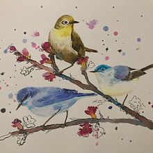 My project for course: Artistic Watercolor Techniques for Illustrating Birds. Projekt z dziedziny Trad, c, jna ilustracja, Malowanie akwarelą, R, sunek realist, czn, Ilustracja naturalist i czna użytkownika Andrea Šeligová - 30.08.2022