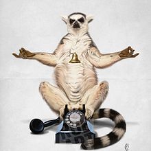 Animal Behaviour - Ring. Un progetto di Illustrazione tradizionale di Rob Snow - 13.11.2020