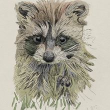 My project for course: Naturalist Illustration with Ballpoint Pen . Traditional illustration, Drawing, Realistic Drawing, and Naturalistic Illustration project by wiredling - 09.01.2022
