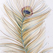Plumas. Un proyecto de Pintura a la acuarela, Ilustración tradicional, Dibujo y Bellas Artes de Verónica Petrina - 01.09.2022