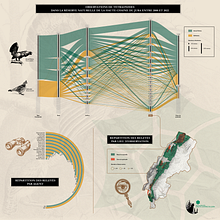 Mon projet du cours : Dataviz : Observation du Grand Tétras sur les 20 dernières années. Information Design & Infographics project by fabien Marchal - 09.01.2022