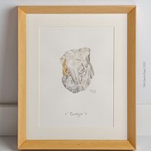 Cuarzo. Serie acuarela "Agricultura biodinámica". Un progetto di Design, Illustrazione tradizionale, Design editoriale, Belle arti, Graphic design, Pittura, Disegno, Disegno realistico, Disegno artistico, Illustrazione botanica e Illustrazione editoriale di Toñi García - 01.09.2022