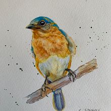 My project for course: Artistic Watercolor Techniques for Illustrating Birds. Traditional illustration, Watercolor Painting, Realistic Drawing, and Naturalistic Illustration project by Sylvia Strauss - 09.01.2022