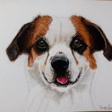 Mi proyecto del curso: Dibujo y composición naturalista en acuarela. Un proyecto de Ilustración tradicional, Dibujo, Pintura a la acuarela e Ilustración naturalista				 de Claudia Soria - 01.09.2022