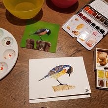 My project for course: Artistic Watercolor Techniques for Illustrating Birds. Projekt z dziedziny Trad, c, jna ilustracja, Malowanie akwarelą, R, sunek realist, czn, Ilustracja naturalist i czna użytkownika jschuffelen - 01.09.2022