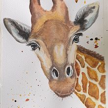 Mein Kursprojekt: Ausdrucksstarke Tierporträts in Aquarell. Un progetto di Illustrazione tradizionale, Pittura ad acquerello, Disegno realistico e Illustrazione naturalistica di ullisteffensen_us - 05.09.2022