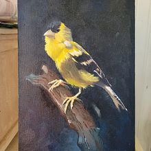 Meu projeto do curso: Pintura a óleo clássica para retratos naturalistas de pássaros. Fine Arts, Painting, Oil Painting, and Naturalistic Illustration project by Helena Vigo - 09.02.2022