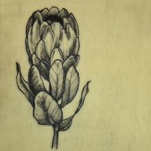 Mi proyecto del curso: Tatuaje botánico con puntillismo. Een project van Traditionele illustratie,  Tatoeageontwerp y  Botanische illustratie van Leandro Almuna Martinez - 30.07.2022