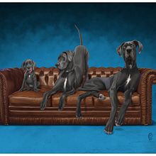 The Three Stages of Duke the Dog. Un progetto di Illustrazione tradizionale di Rob Snow - 04.11.2021