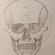 My project for course: Figure Drawing: The Human Head. Un progetto di Disegno a matita, Disegno, Disegno di ritratti, Disegno realistico e Disegno anatomico di rezvan - 02.09.2022