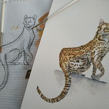 Mi proyecto del curso: Ilustración científica de animales en acuarela. Traditional illustration, Watercolor Painting, Realistic Drawing, and Naturalistic Illustration project by Bárbara Vidal Mas - 09.03.2022