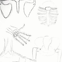 Mi proyecto del curso: Dibujo anatómico de extremidades, manos y pies. Fine Arts, Sketching, Pencil Drawing, Drawing, Portrait Drawing, Realistic Drawing, Artistic Drawing, Sketchbook, Figure Drawing & Ink Illustration project by Abraham Salinas - 07.30.2022
