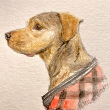 Peter. Un progetto di Illustrazione tradizionale, Disegno di ritratti, Pittura ad acquerello e Bozzetti di Heather - 11.08.2022