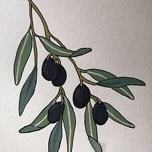 Il mio progetto del corso: Creazione di pattern botanici a partire da un disegno Ein Projekt aus dem Bereich Digitale Illustration, Botanische Illustration und Digitale Zeichnung von Benedetta Caraba - 04.09.2022