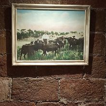 l'AVI. Un proyecto de Fotografía de carmencortijo92 - 04.09.2022