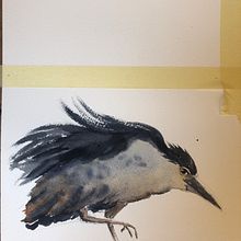 Il mio progetto del corso: Acquerelli naturalistici espressivi e con personalità. Un progetto di Illustrazione tradizionale, Pittura ad acquerello e Illustrazione naturalistica di Valentina Torboli Rapetti - 05.09.2022