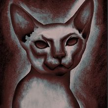 Animal Illustrations. . Traditional illustration project by Amanda Wynn - 09.05.2022