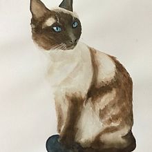 Retratos expresivos de animales. Un proyecto de Ilustración tradicional y Pintura a la acuarela de Gabriela D’ Franco - 05.09.2022