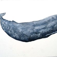 Mi proyecto del curso: Técnicas de ilustración naturalista: ballenas en acuarela. Ilustração tradicional, Design de cartaz, Ilustração digital, e Mangá projeto de Juan Pablo Garcia - 06.09.2022