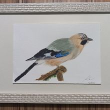 Meu projeto do curso: Aquarela naturalista com expressão e personalidade. Projekt z dziedziny Trad, c, jna ilustracja, Malowanie akwarelą, Ilustracja naturalist i czna użytkownika Katia Cristina Mourão - 02.11.2023