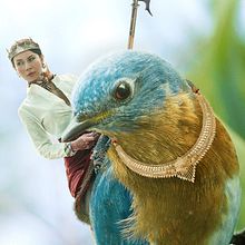 Rider. Photograph, Post-production, Photo Retouching, Digital Photograph, Photographic Composition, and Photomontage project by Javier Avendaño Suárez - 09.04.2022