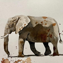 Mixed Media: Watercolour and Pencil. Projekt z dziedziny  Malarstwo, Trad, c i jna ilustracja użytkownika Alanie Botha-Austin - 07.09.2022