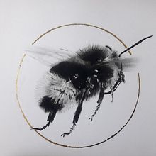 Mein Kursprojekt: Naturillustration mit Aquarell und Kohle. Traditional illustration, Painting, and Naturalistic Illustration project by Katrin Krammer - 09.07.2022