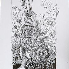 My project for course: Dip Pen and Ink Illustration: Capturing The Natural World. Sketching, Drawing, Artistic Drawing, Sketchbook, Ink Illustration, and Naturalistic Illustration project by Gail Townsend - 09.06.2022
