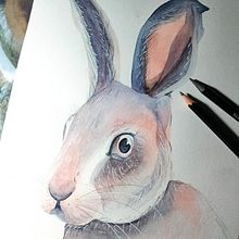 Il mio progetto del corso: Tecniche sperimentali di acquerello per principianti. Un proyecto de Ilustración tradicional, Bellas Artes, Pintura a la acuarela e Ilustración naturalista				 de Daniela Zaccheddu - 08.09.2022