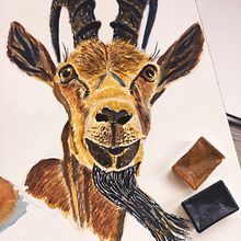 Mi proyecto del curso: Técnicas experimentales de acuarela para principiantes. Traditional illustration, Fine Arts, Watercolor Painting, and Naturalistic Illustration project by Regina - 08.22.2022
