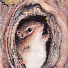Past projects. Un projet de Illustration traditionnelle de Nancy Elmore - 09.09.2022