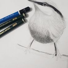 Meu projeto do curso: Técnicas expressivas de aquarela para ilustração de pássaros. Un progetto di Illustrazione tradizionale, Pittura ad acquerello, Disegno realistico e Illustrazione naturalistica di Fabiano Araujo - 09.09.2022