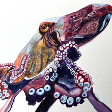 My project for course: Marine Universe Illustration in Watercolor. Projekt z dziedziny Trad, c, jna ilustracja,  Malarstwo, Malowanie akwarelą, Ilustracja naturalist i czna użytkownika Gigi Smith - 07.09.2022