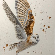 Mi proyecto del curso: Acuarela artística para ilustración de aves. Un proyecto de Ilustración tradicional, Pintura a la acuarela, Dibujo realista e Ilustración naturalista				 de David Salvador Escandón Sandoval - 14.09.2022