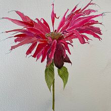 Dramatic flower. Un progetto di Illustrazione tradizionale di rose_a_bradley - 08.09.2022