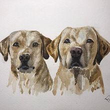 My project for course: Expressive Animal Portraits in Watercolor. Un proyecto de Ilustración tradicional, Pintura a la acuarela, Dibujo realista e Ilustración naturalista				 de Teodora Nagy - 10.09.2022