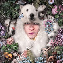Polar Jungle. Un proyecto de Multimedia, Collage, Fotografía de moda, Ilustración digital e Iluminación fotográfica de Oliver Albergo - 10.09.2022