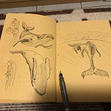 Mi proyecto del curso: Diario ilustrado: llena tu sketchbook de vivencias. Projekt z dziedziny Trad, c, jna ilustracja, Sketching,  R, sunek, Sketchbook,  R i sunek atramentem użytkownika Diana Ysabel - 12.09.2022