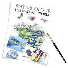Watercolour the Natural World. Traditional illustration, Non-Fiction Writing, Floral, Plant Design, Naturalistic Illustration, Ink Illustration, Sketchbook, Botanical Illustration, Artistic Drawing, Realistic Drawing, Watercolor Painting, and Education project by Tim Pond - 04.01.2022