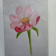 Paleta de colores . Watercolor Painting project by Silvia de Castro - 09.12.2022