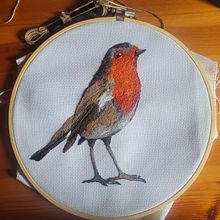 Il mio progetto del corso: Dipingere con filo: tecniche di illustrazione tessile. Un progetto di Illustrazione tradizionale, Ricamo e Textile Design di elf_91 - 13.09.2022