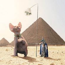 My project for course: Surrealistic Photomontage with Photoshop . % ahmad alazzeh tarafından hazırlanan Fotoğraf Post Prodüksi, on, Fotoğraf Rötuşlama, Dijital Fotoğrafçılık, Fotoğrafik Kompozis, on, Ve Fotomontaj projesi - 09.13.2022